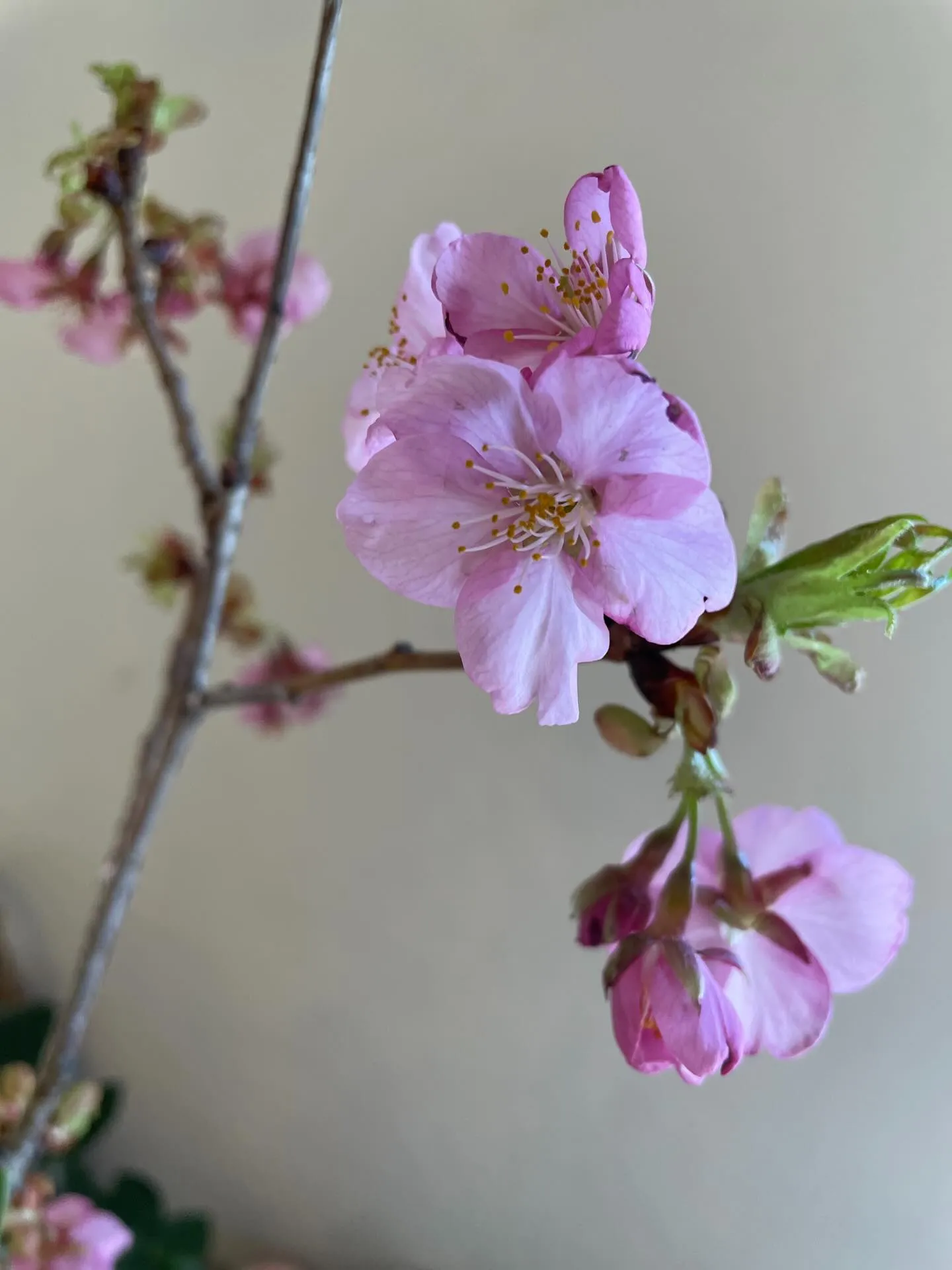 【今週もありがとうございました😊】