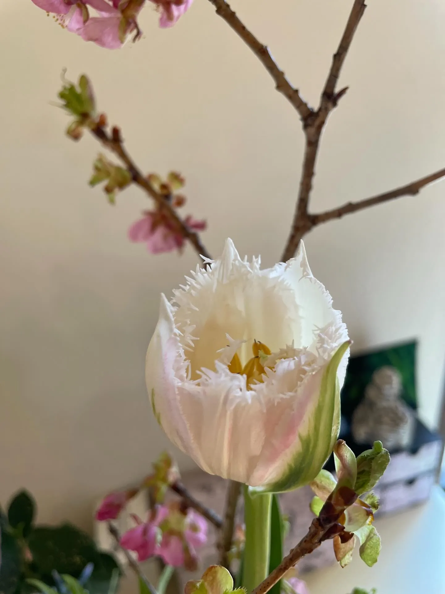 【今週もありがとうございました😊】