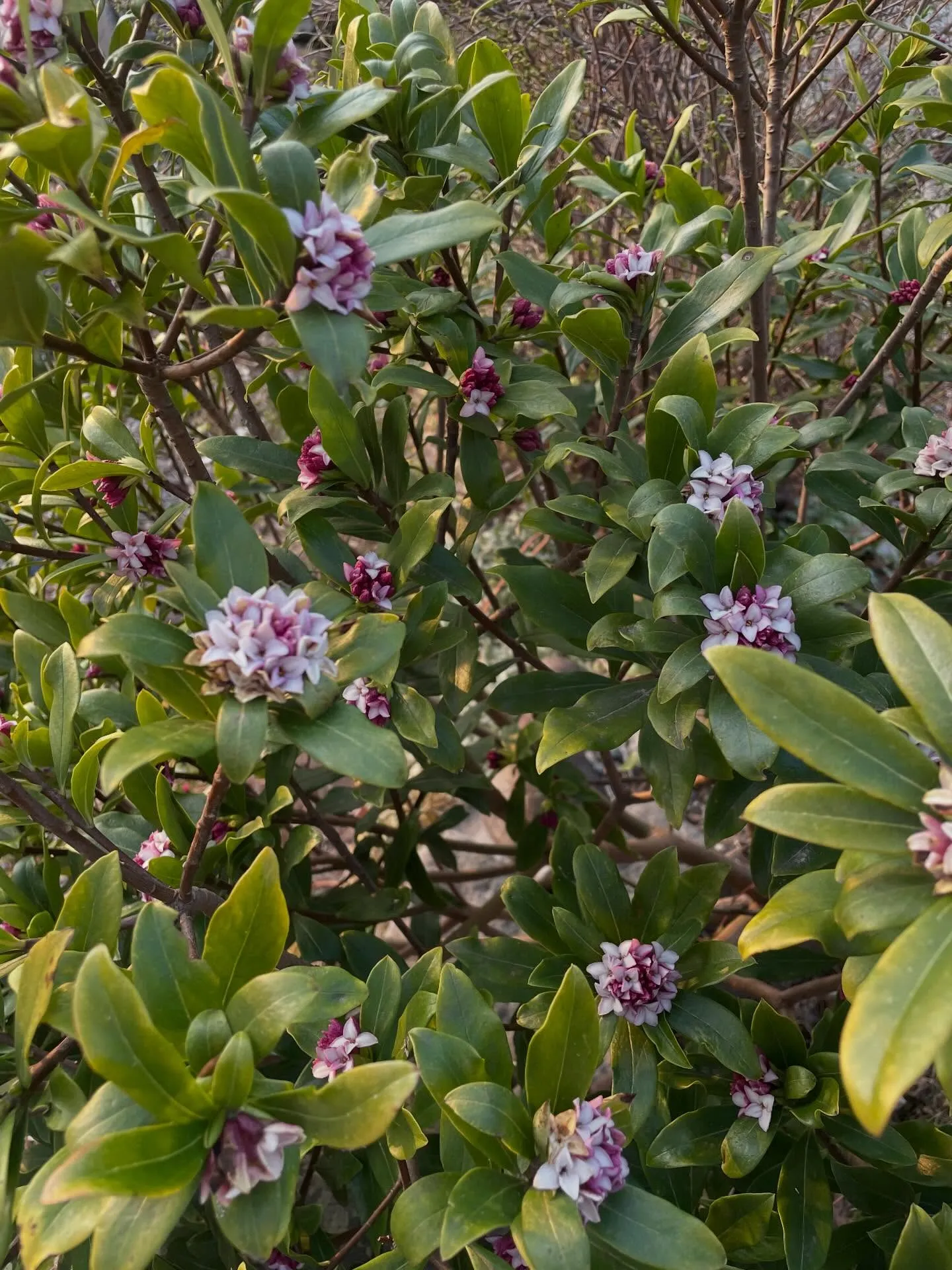 【今週もありがとうございました😊】