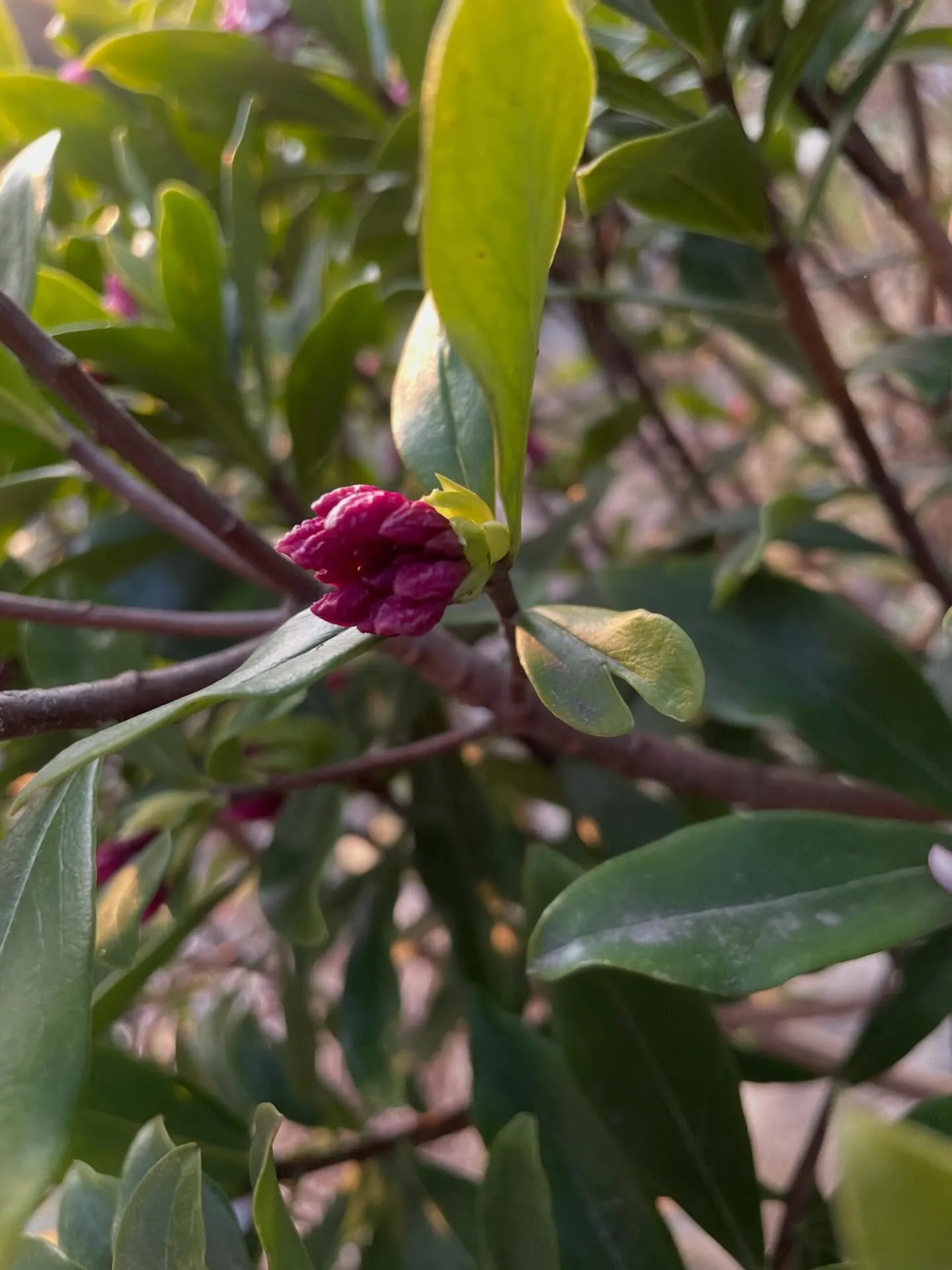 【今週もありがとうございました😊】