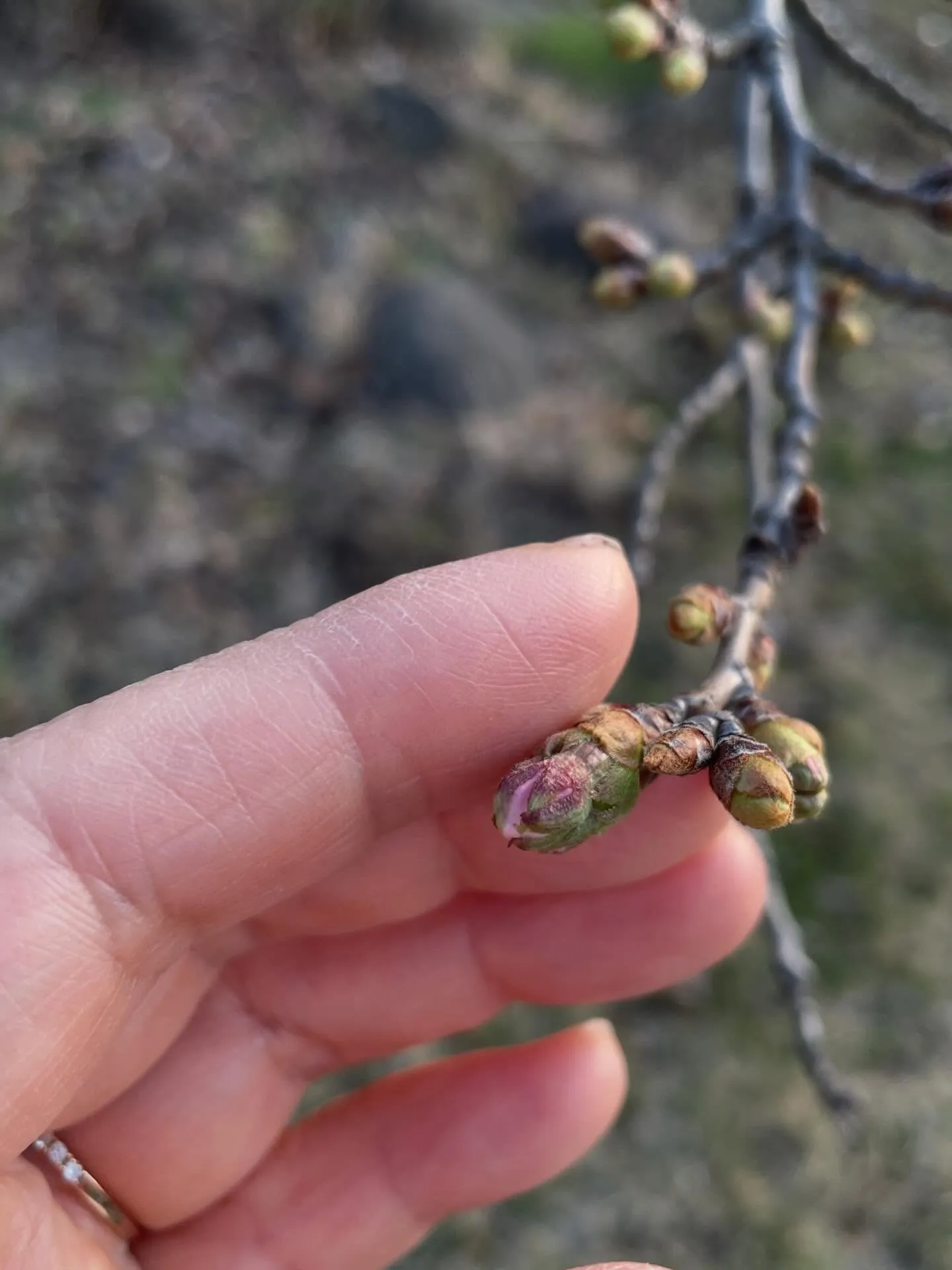 【今週もありがとうございました😊】