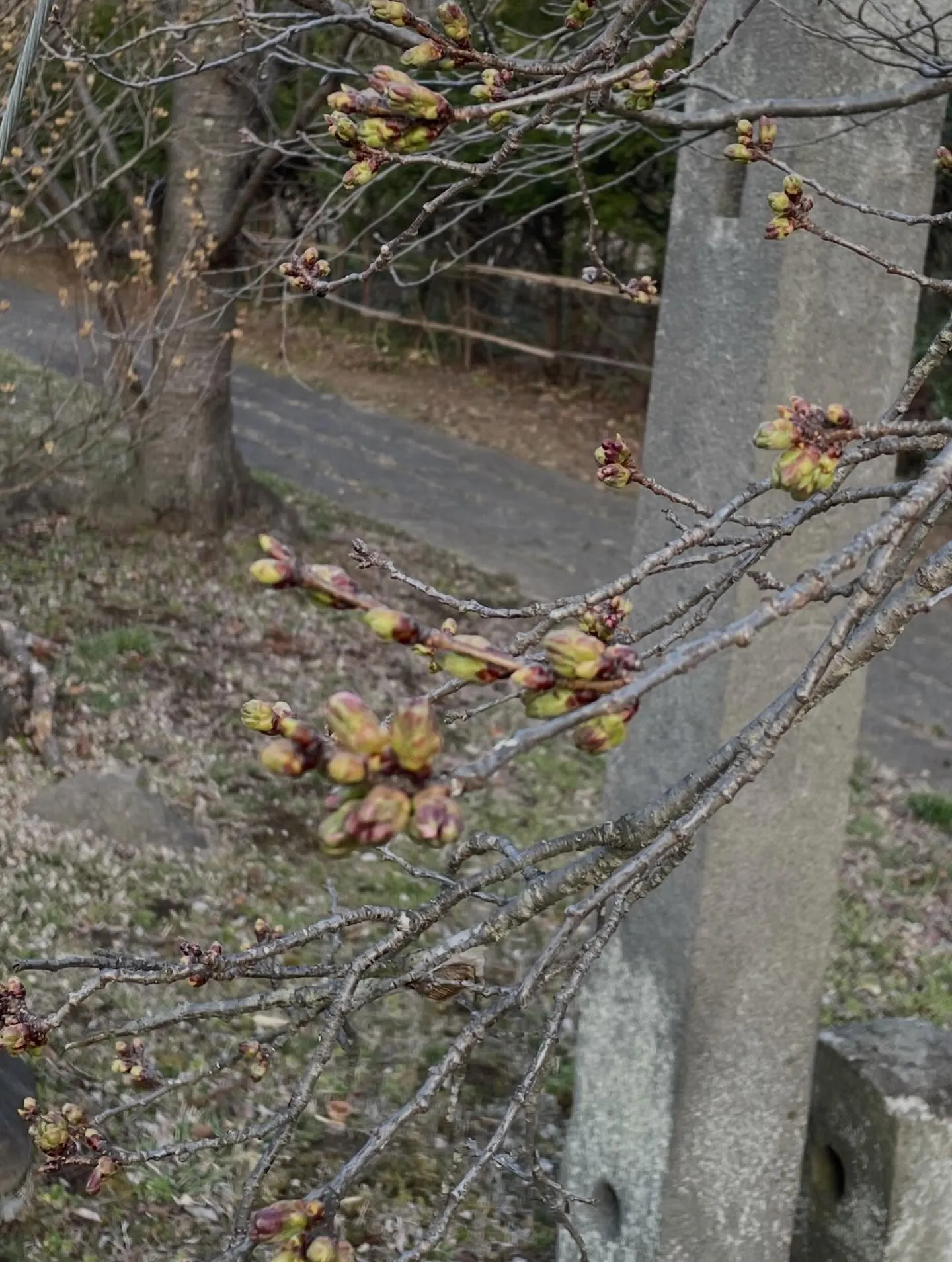 【今週もありがとうございました😊】