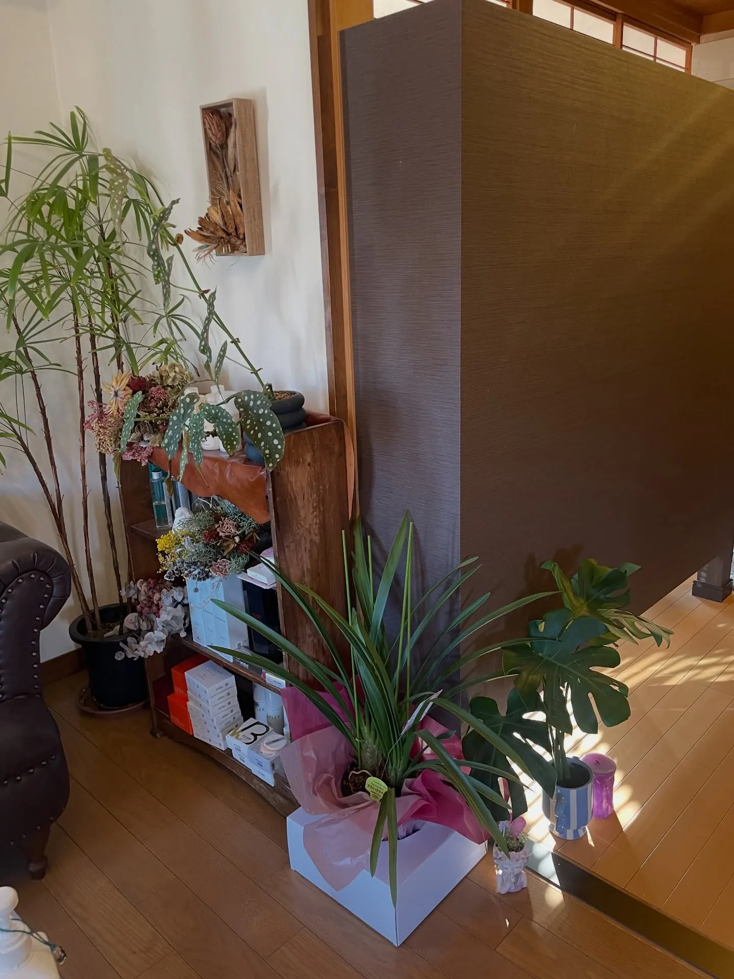 【4月になりました】