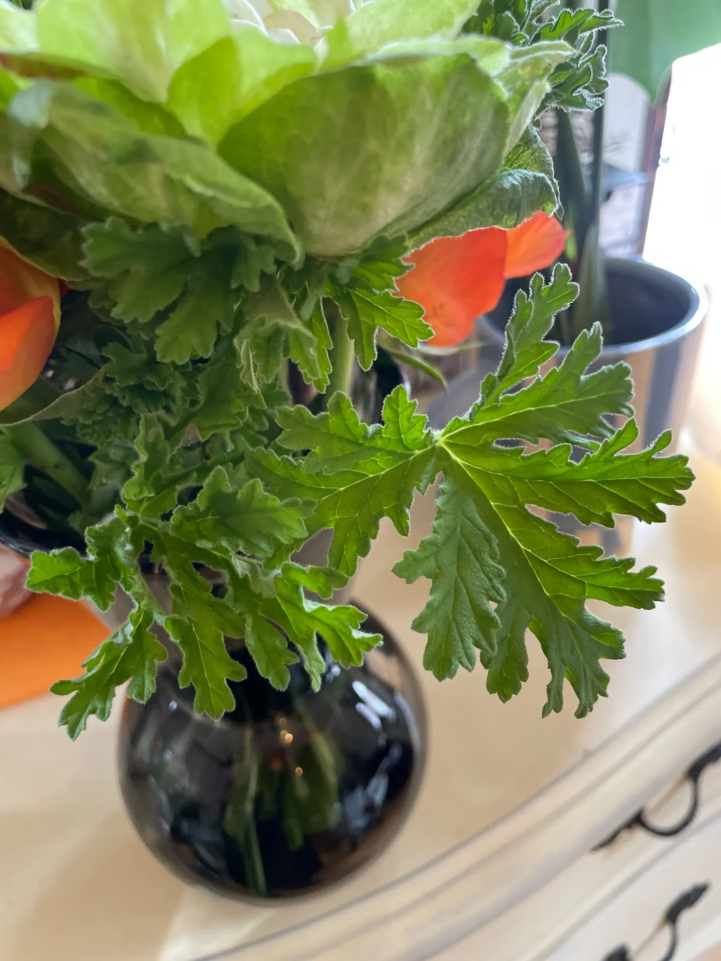 【選べるアフターティー🫖】