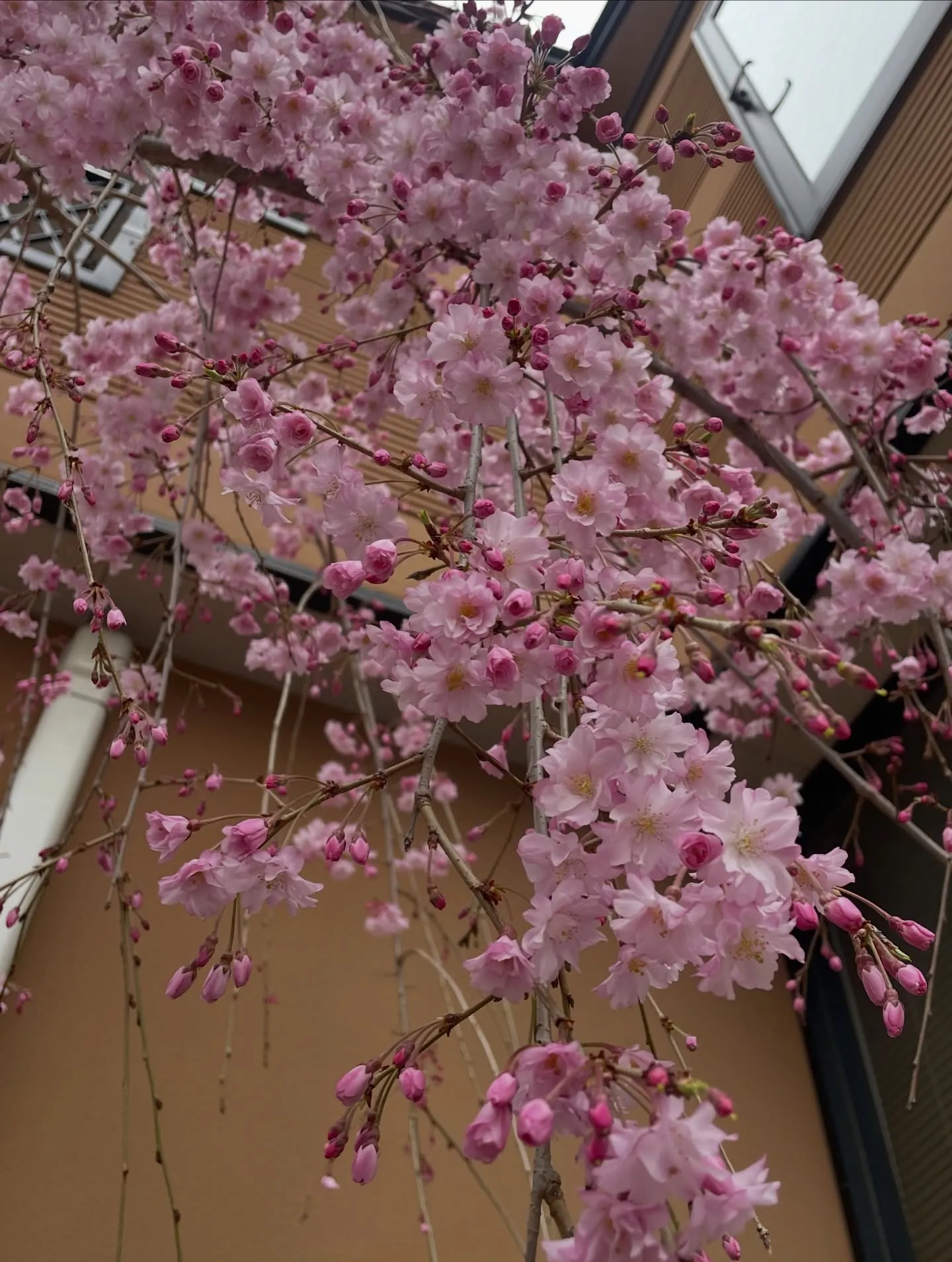 【今週もありがとうございました】