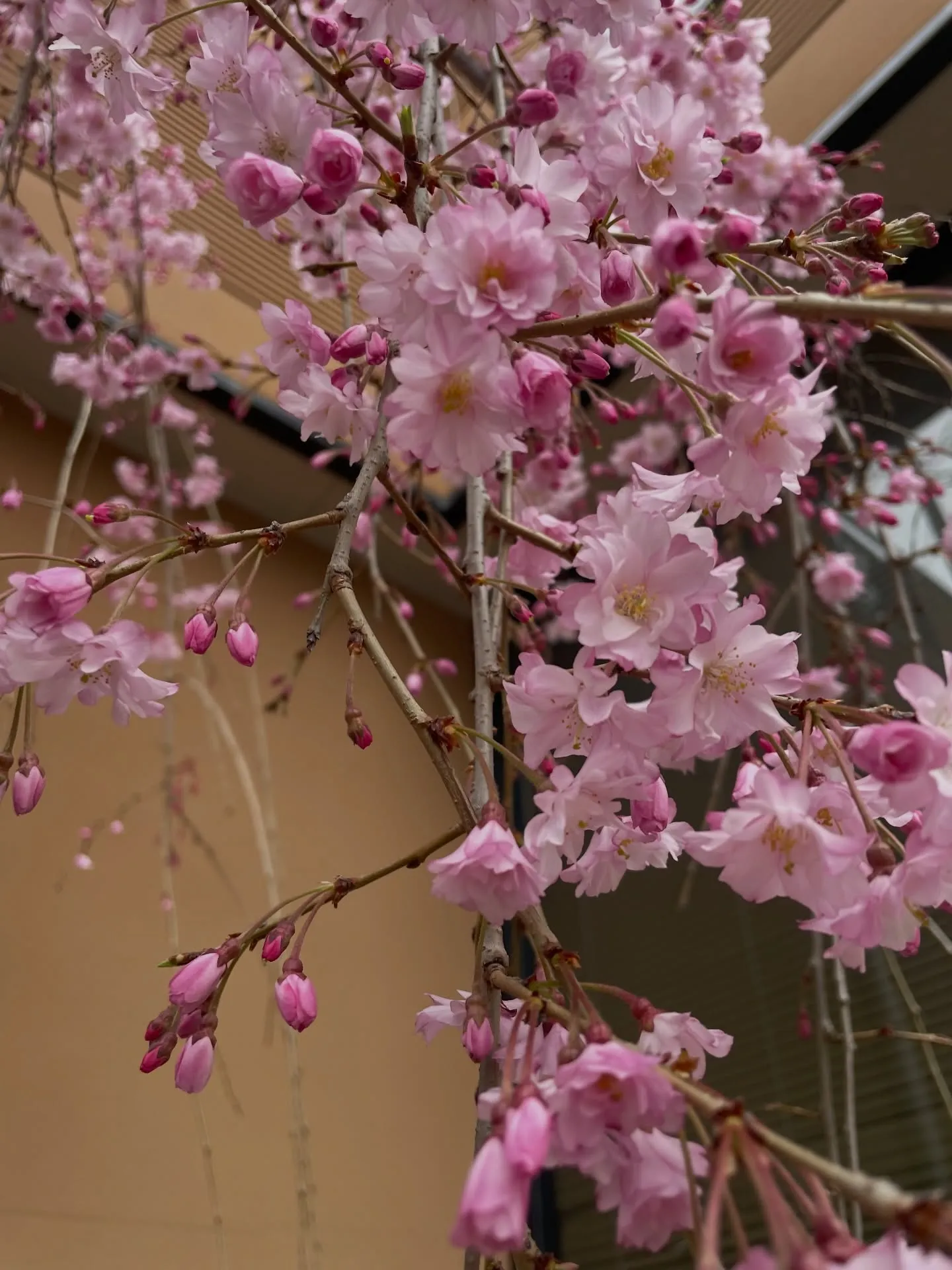 【今週もありがとうございました】