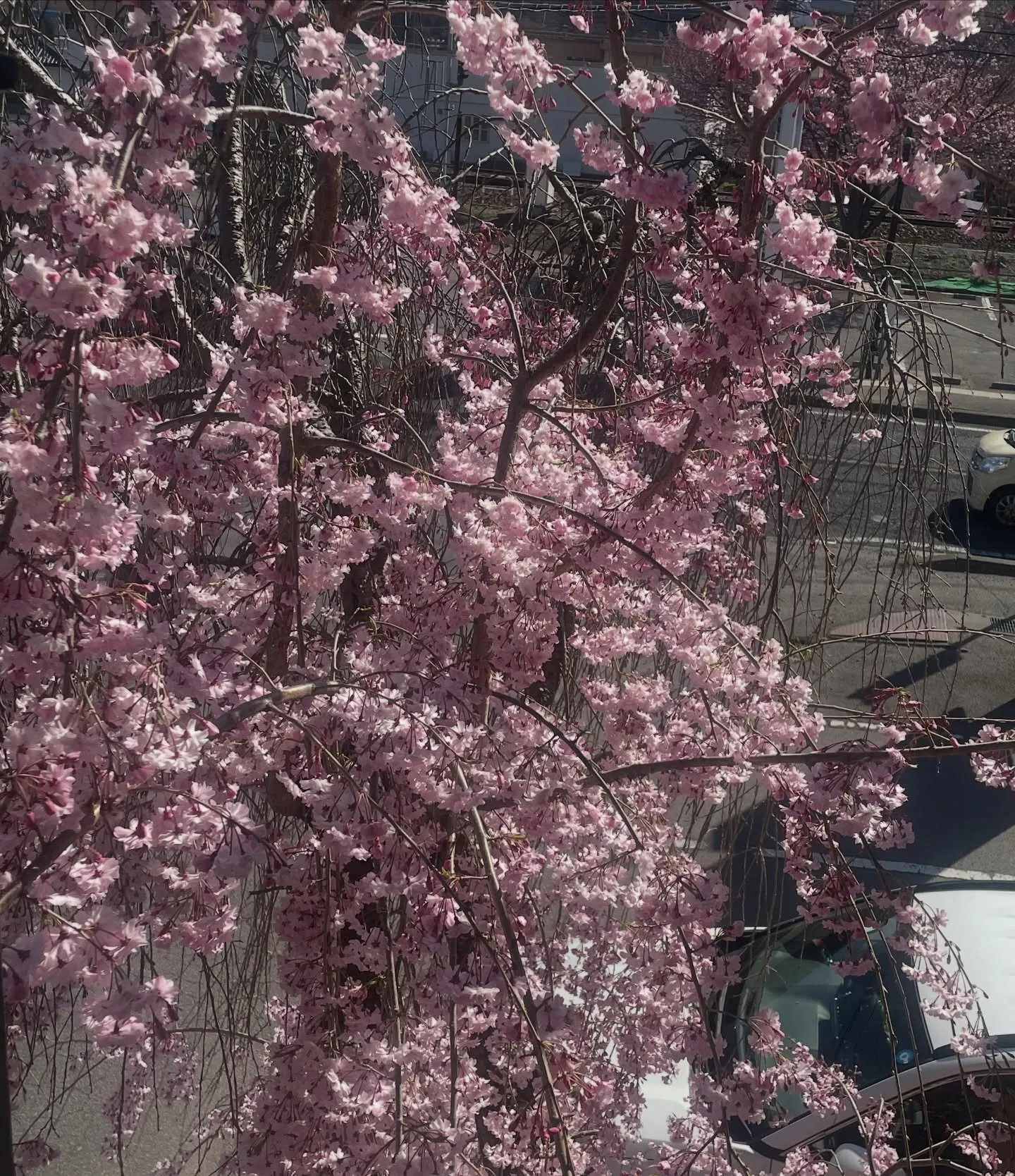 【新生活スタートで疲れ?】