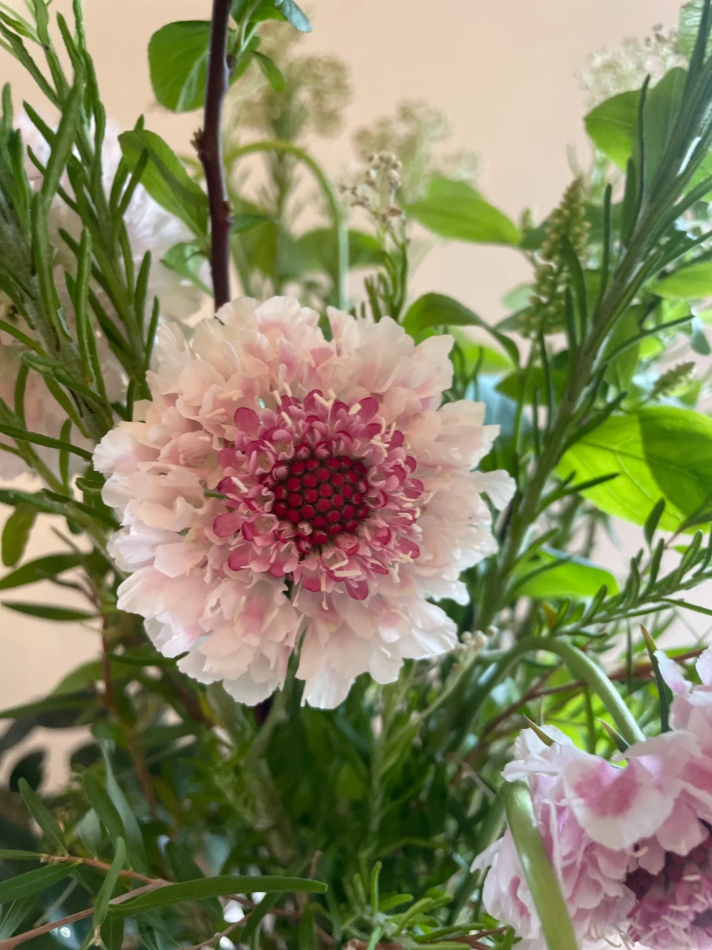 【今週のお花たち】