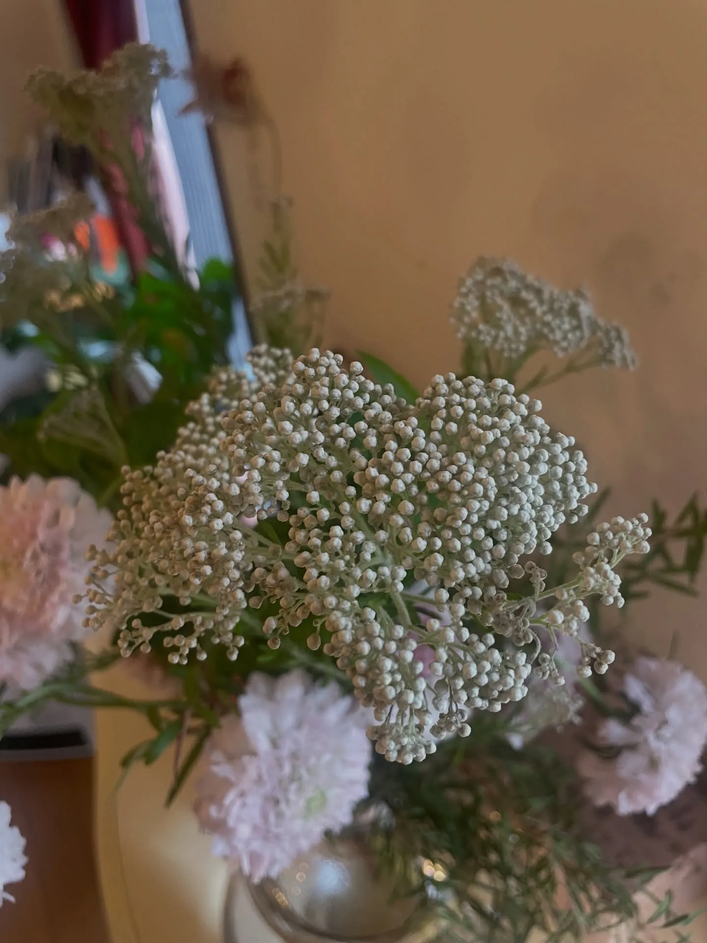 【今週のお花たち】