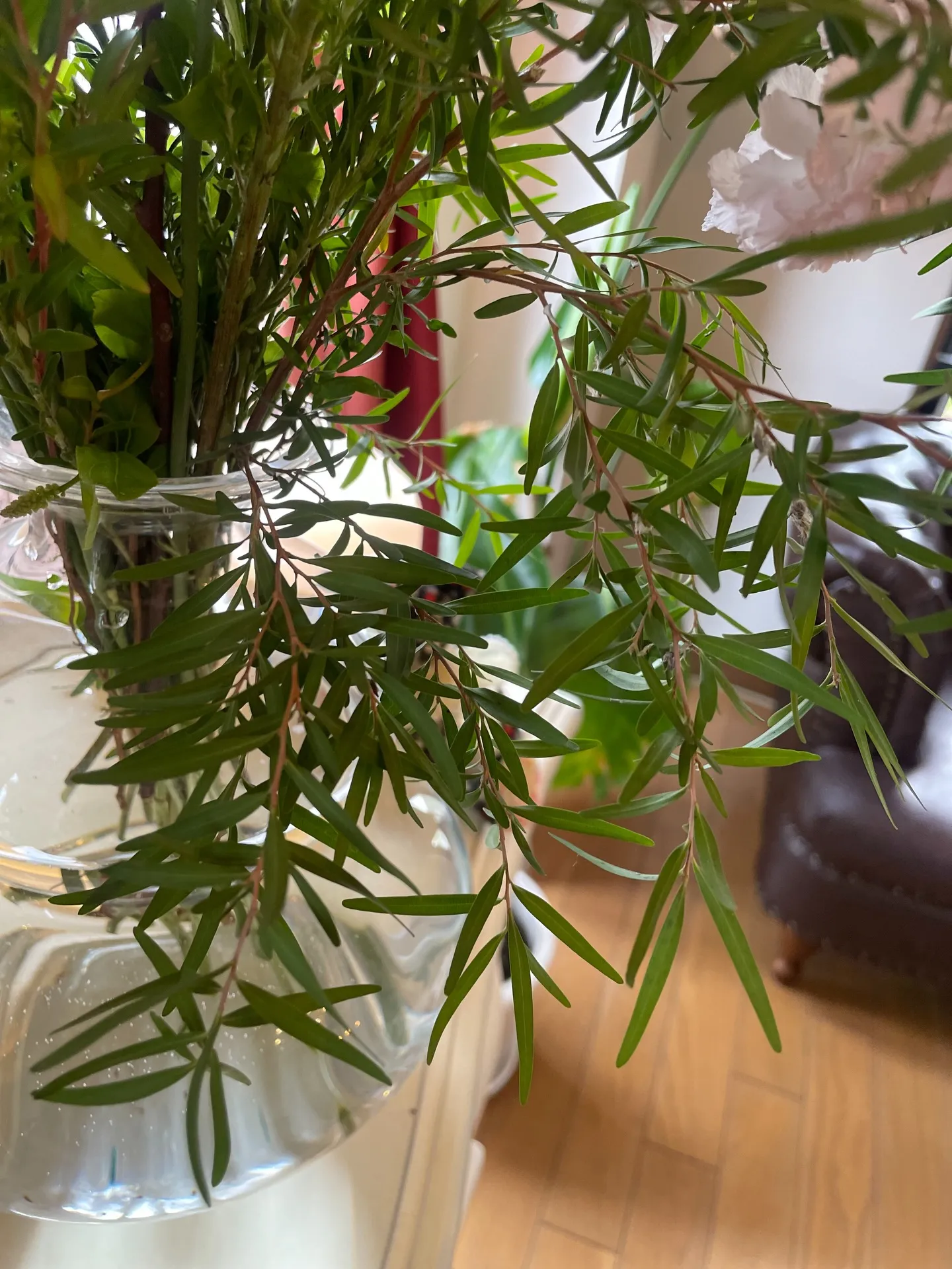 【今週のお花たち】