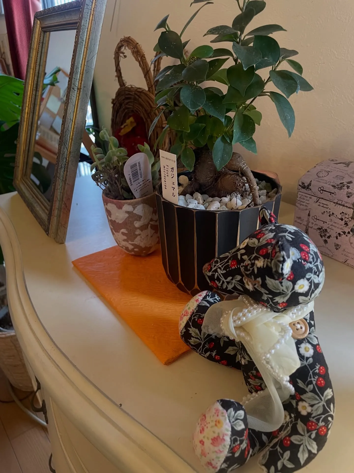 【今週もありがとうございました】