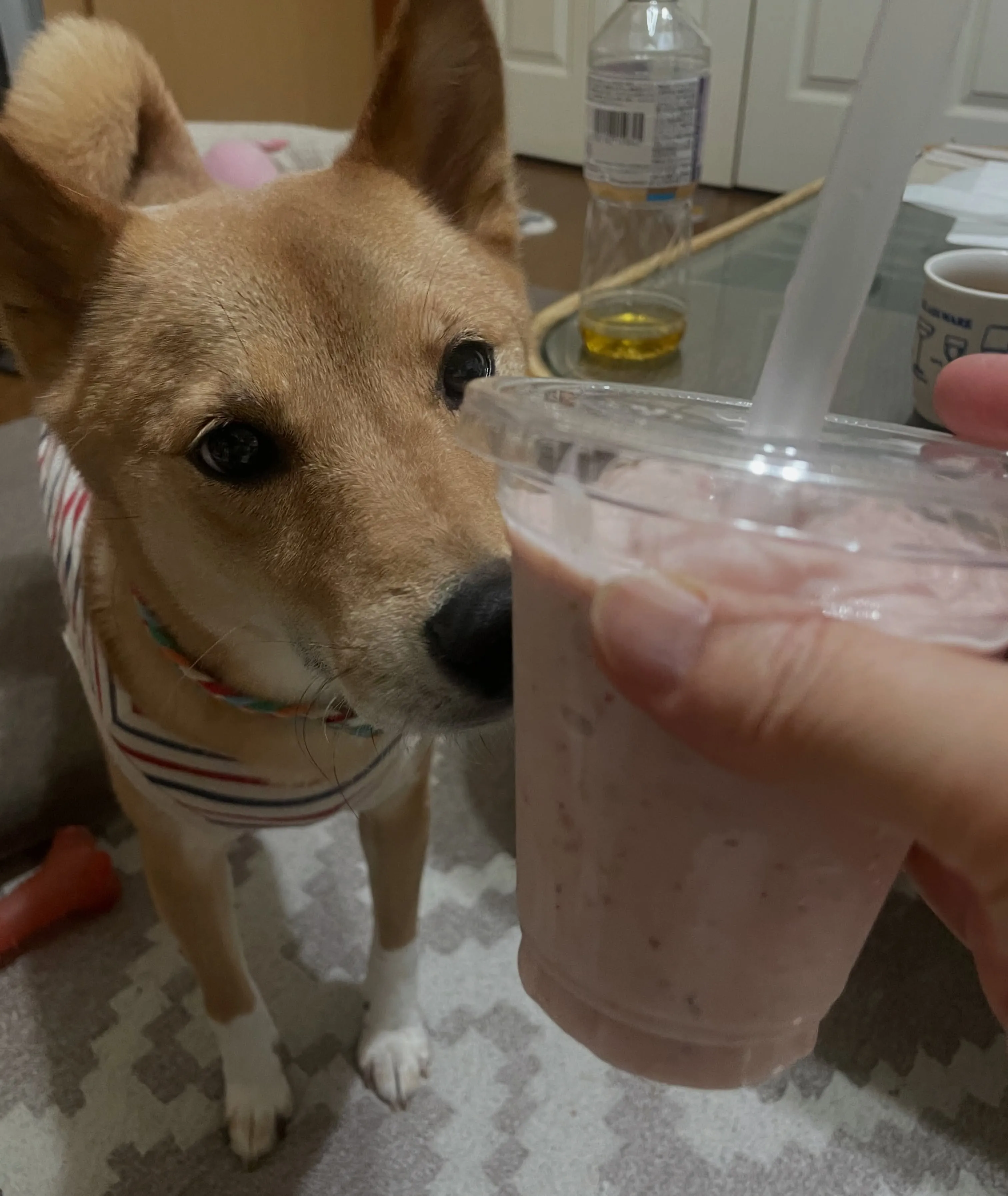 【お休み、ありがとうございました😊】